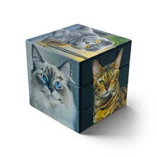 Кубик Рубіка 3x3 Куб-Котолюб DC-3-CAT фото