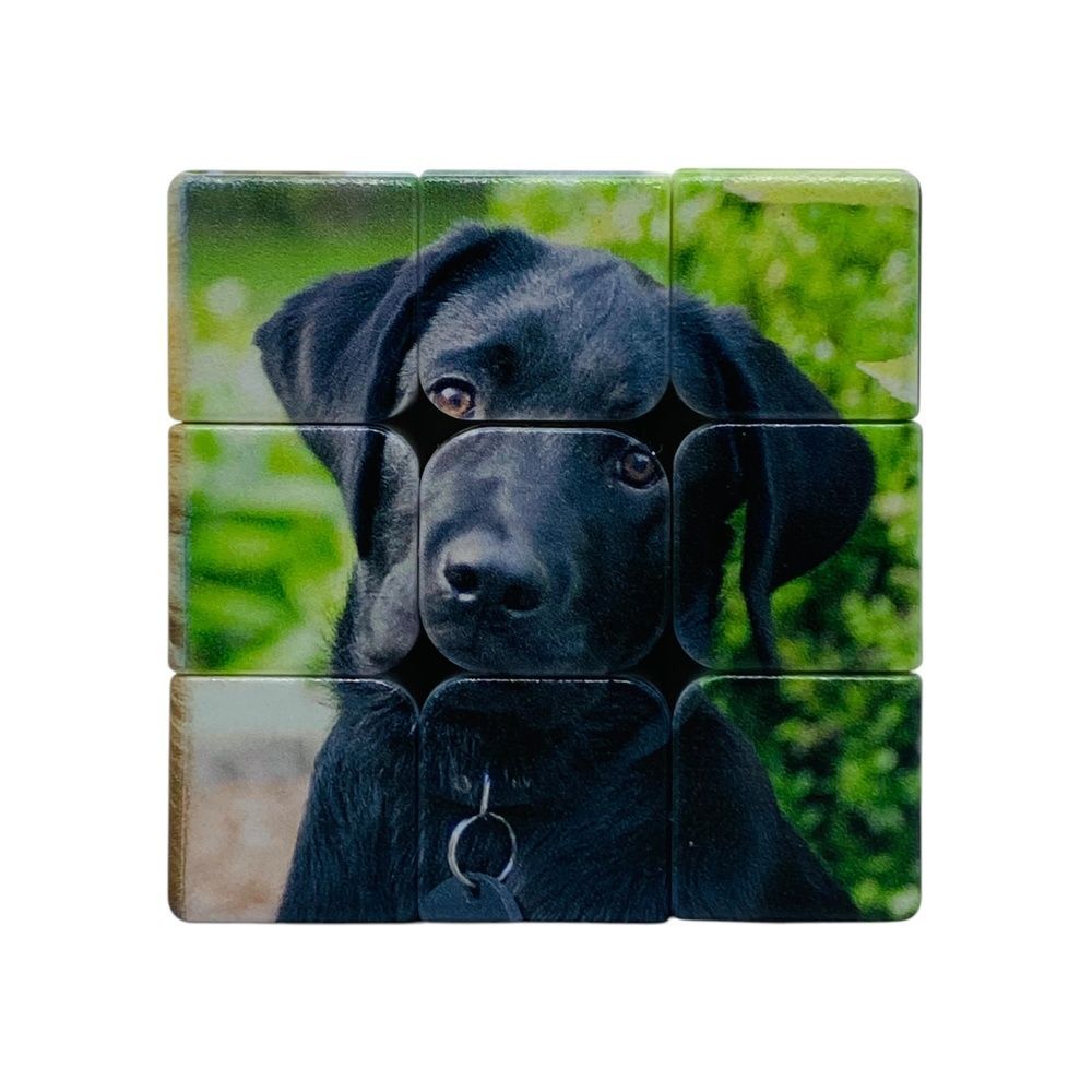 Кубик Рубіка 3x3 Куб-Собаколюб DC-3-DOG фото